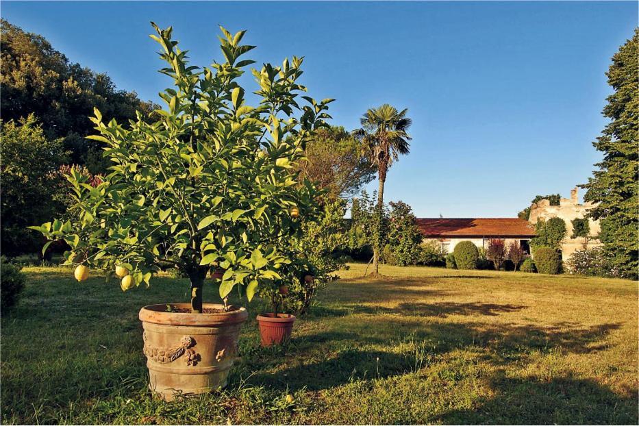 Fattoria Agriturismo Bigongiari Lucca Exterior foto